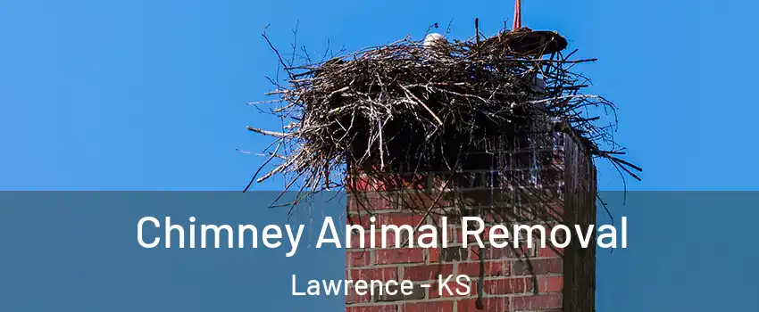 Chimney Animal Removal Lawrence - KS