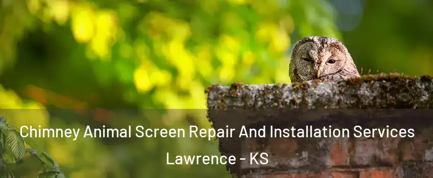  Chimney Animal Screen Repair And Installation Services Lawrence - KS