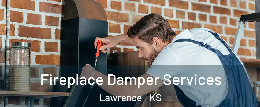  Fireplace Damper Services Lawrence - KS