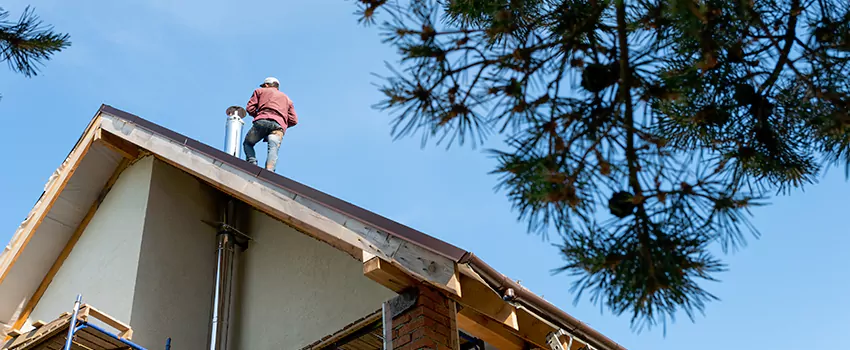 Birds Removal Contractors from Chimney in Lawrence, KS