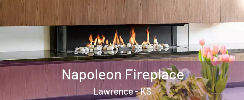  Napoleon Fireplace Lawrence - KS